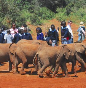 Nonprofit Organisations Help Children