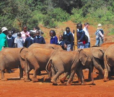 Nonprofit Organisations Help Children